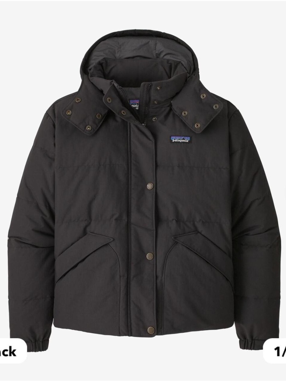 Patagonia Downdrift Jacket